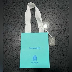Tiffany & Co. Blue Gift Bag